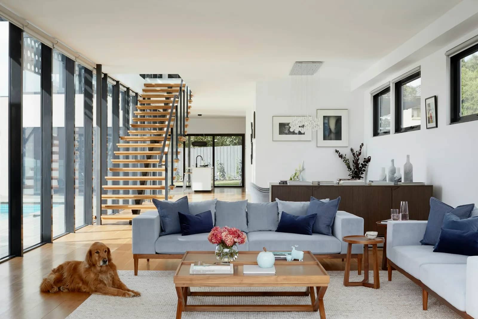Retail-grade interior with rich timber display shelving and a lit accent wall